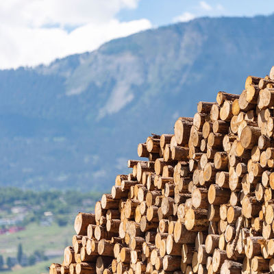 Ecologie